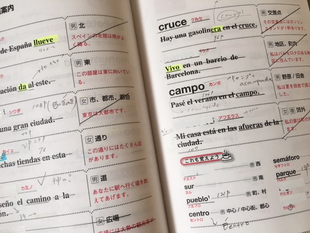 マルチリンガルの私が実践した １ヶ月で簡単なスペイン語が読めるようになる方法 Multilingirl