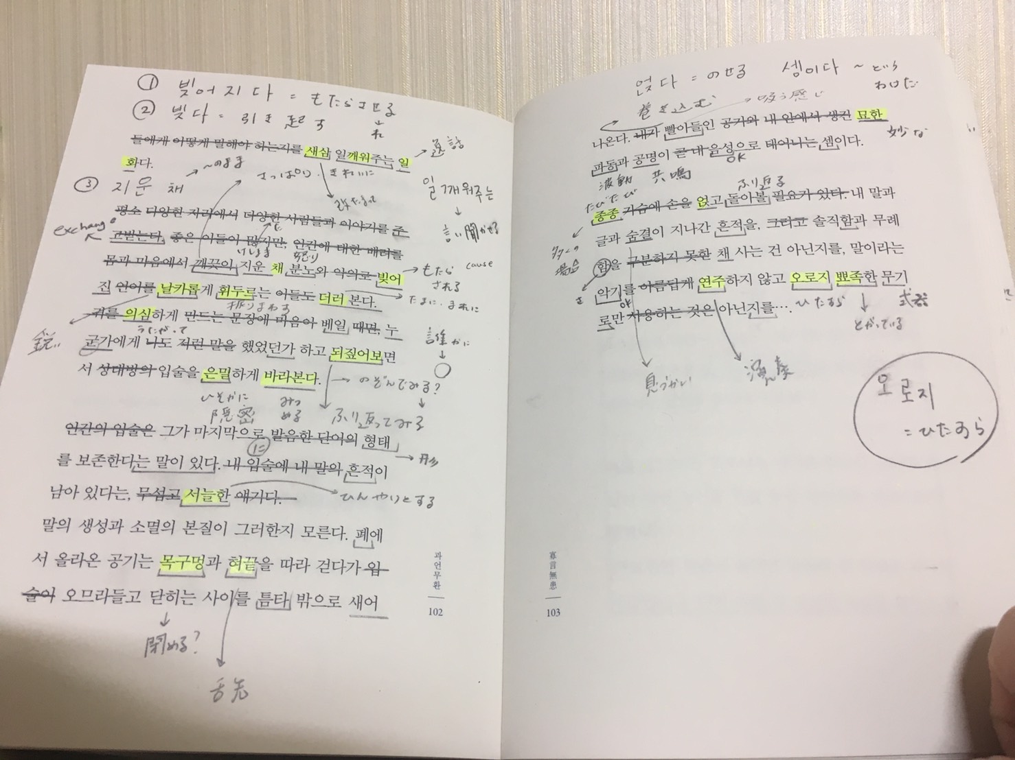 親に借金してまで韓国に語学留学したけど 韓国語の勉強をやめて正解だった理由 Multilingirl