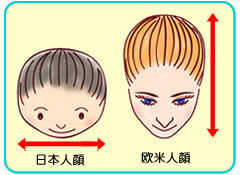 頭長幅指数 長頭型 中頭型 短頭型 あなたはどれ 欧米型 韓国型 日本型 Multilingirl